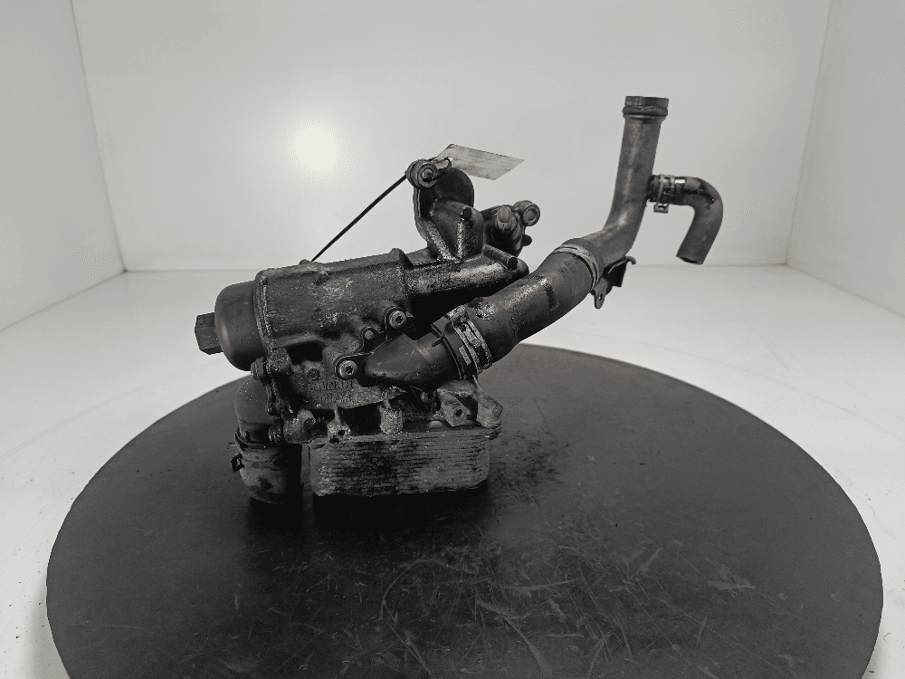 Корпус масляного фильтра к Renault Laguna 2 Рестайлинг (05-08)