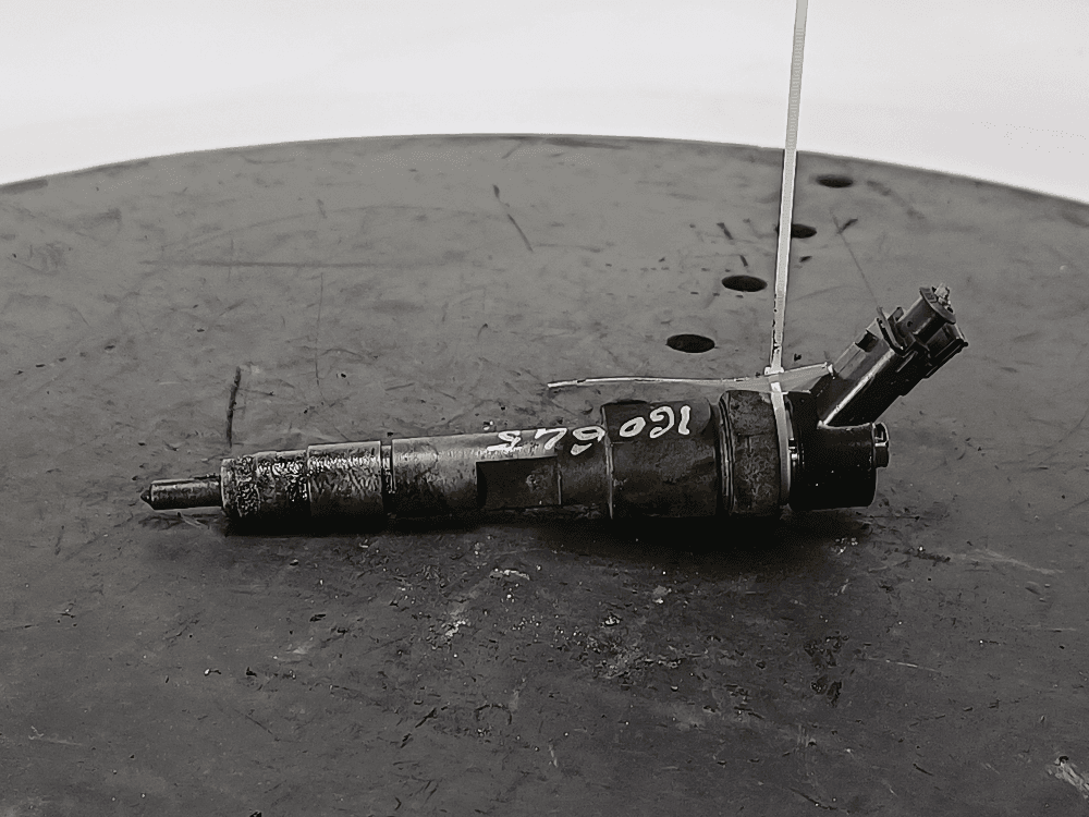 Форсунка к Renault Scenic 2 (03-06)