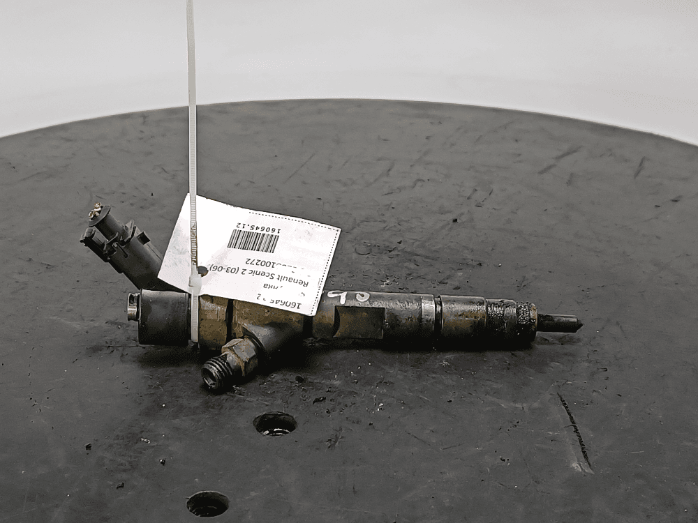 Форсунка к Renault Scenic 2 (03-06)