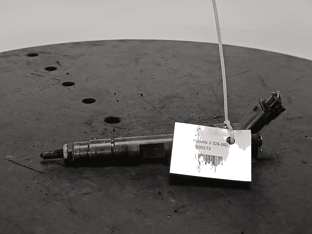 Форсунка к Renault Scenic 2 (03-06)