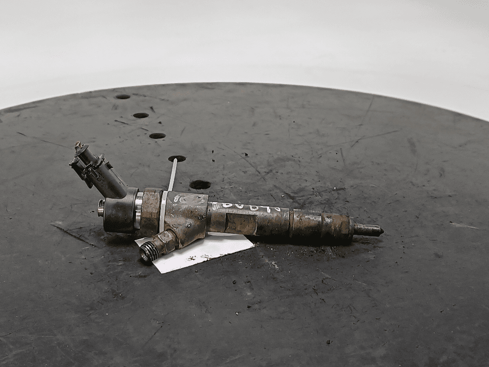 Форсунка к Renault Scenic 2 (03-06)