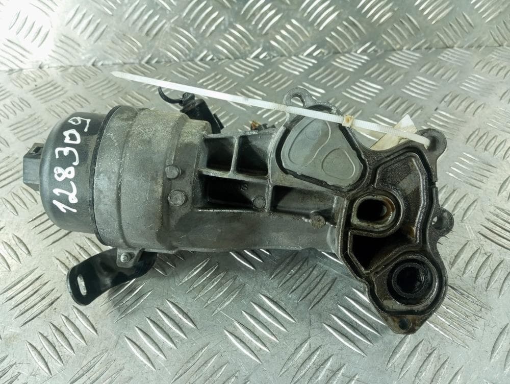 Корпус масляного фильтра к Peugeot 207 (06-09)