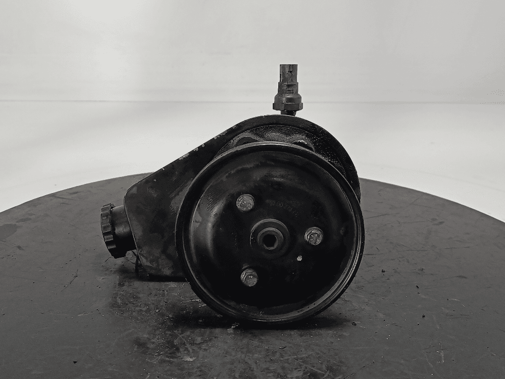 ΠΠ°ΡΠΎΡ Π³ΠΈΠ΄ΡΠΎΡΡΠΈΠ»ΠΈΡΠ΅Π»Ρ ΡΡΠ»Ρ ΠΊ Renault Megane 1 (95-99)